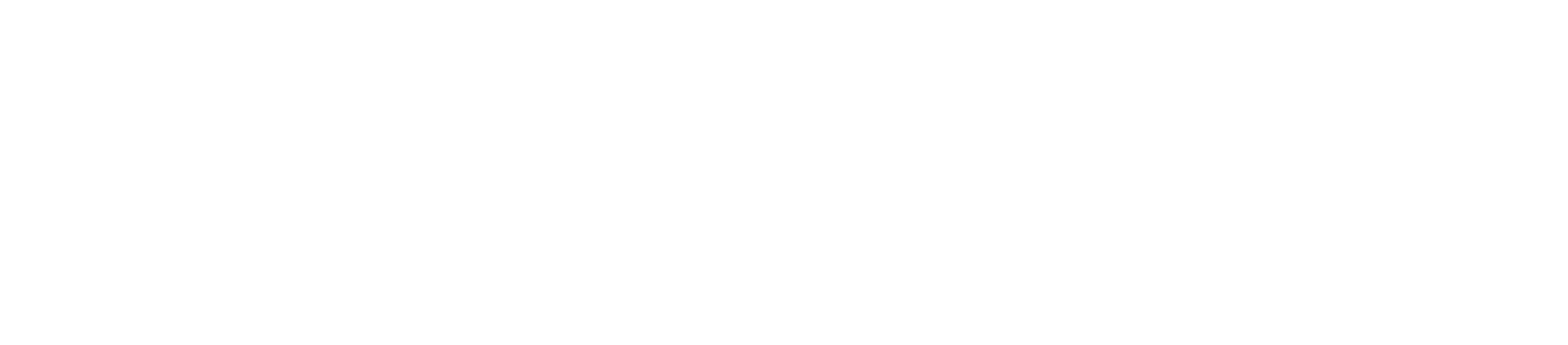 LOGO BLANC 300dpi.png